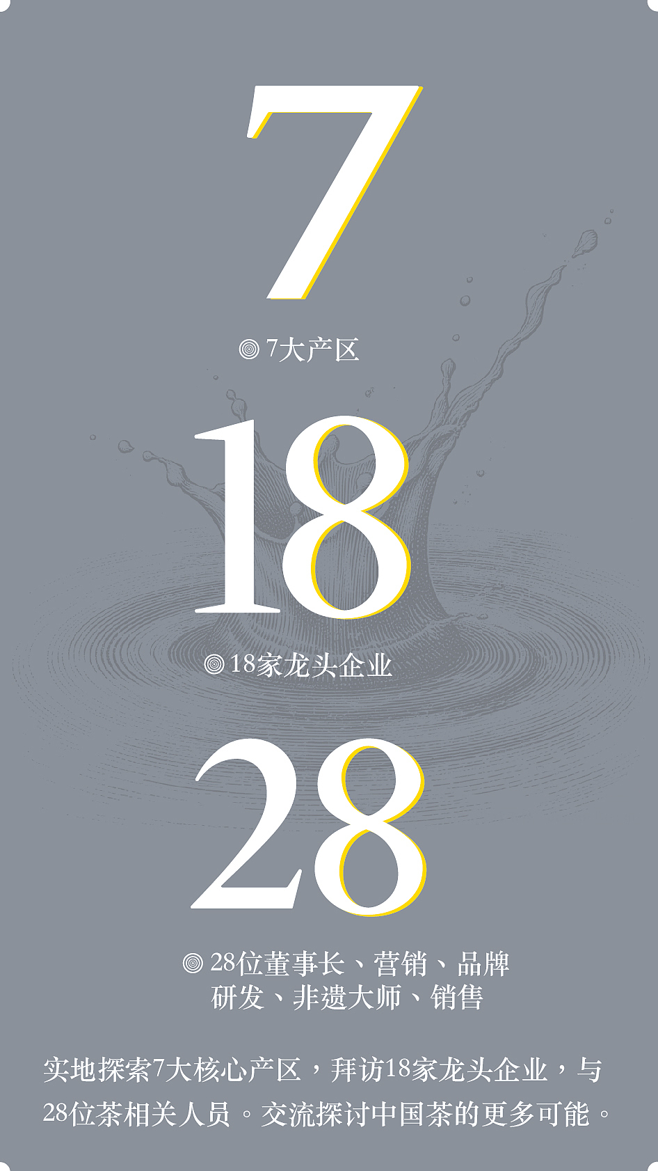 普洱茶,新风尚!-----茶叶包装设计