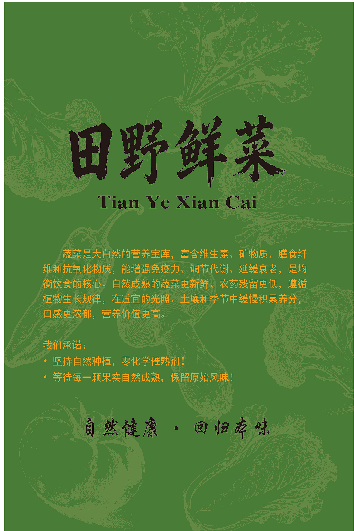 田野鲜菜（图ZMzk4ODMyMDc2） - 包装 - 站酷设计师设计师晓儿原创素材 - 站酷ZCOOL