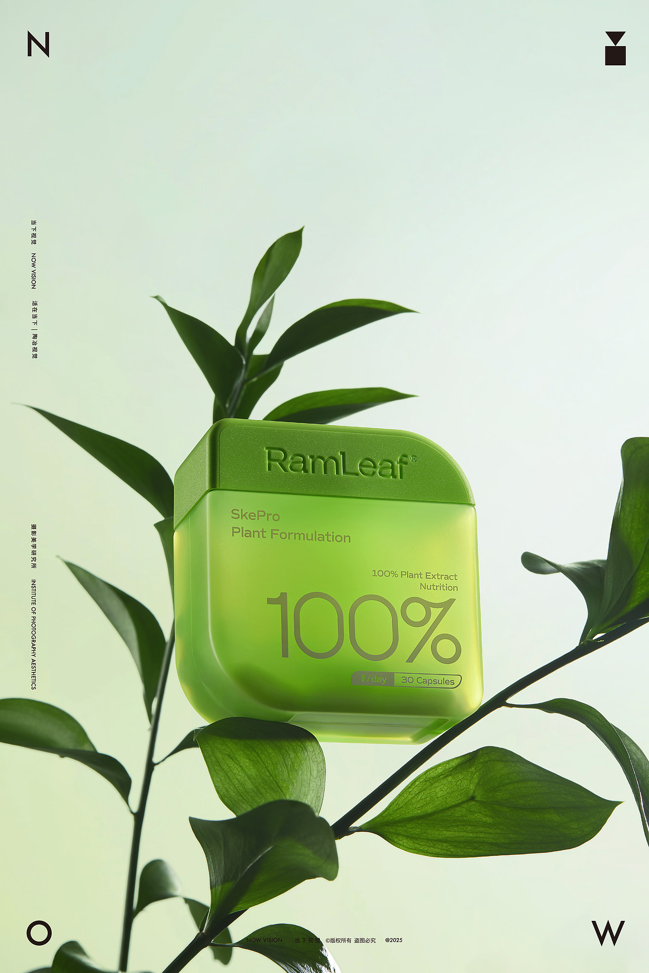 植物胶囊摄影 | RamLeaf 植物小方 × 当下视觉