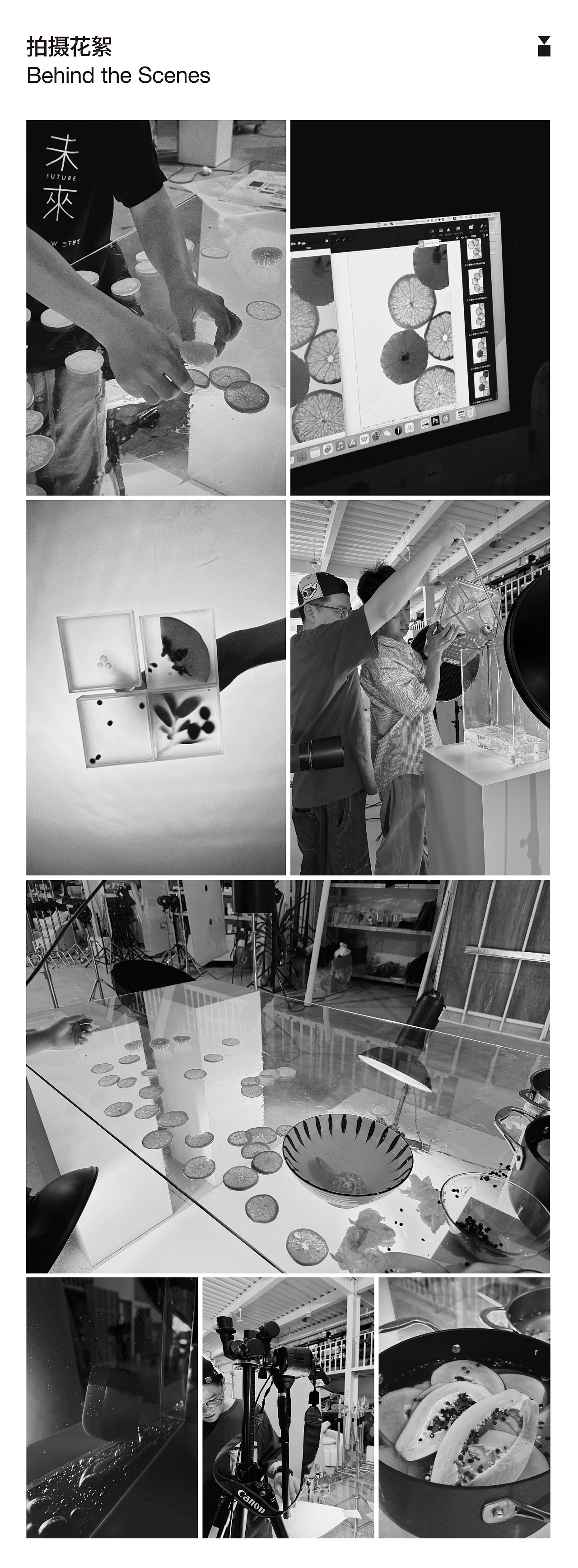 植物胶囊摄影 | RamLeaf 植物小方 × 当下视觉