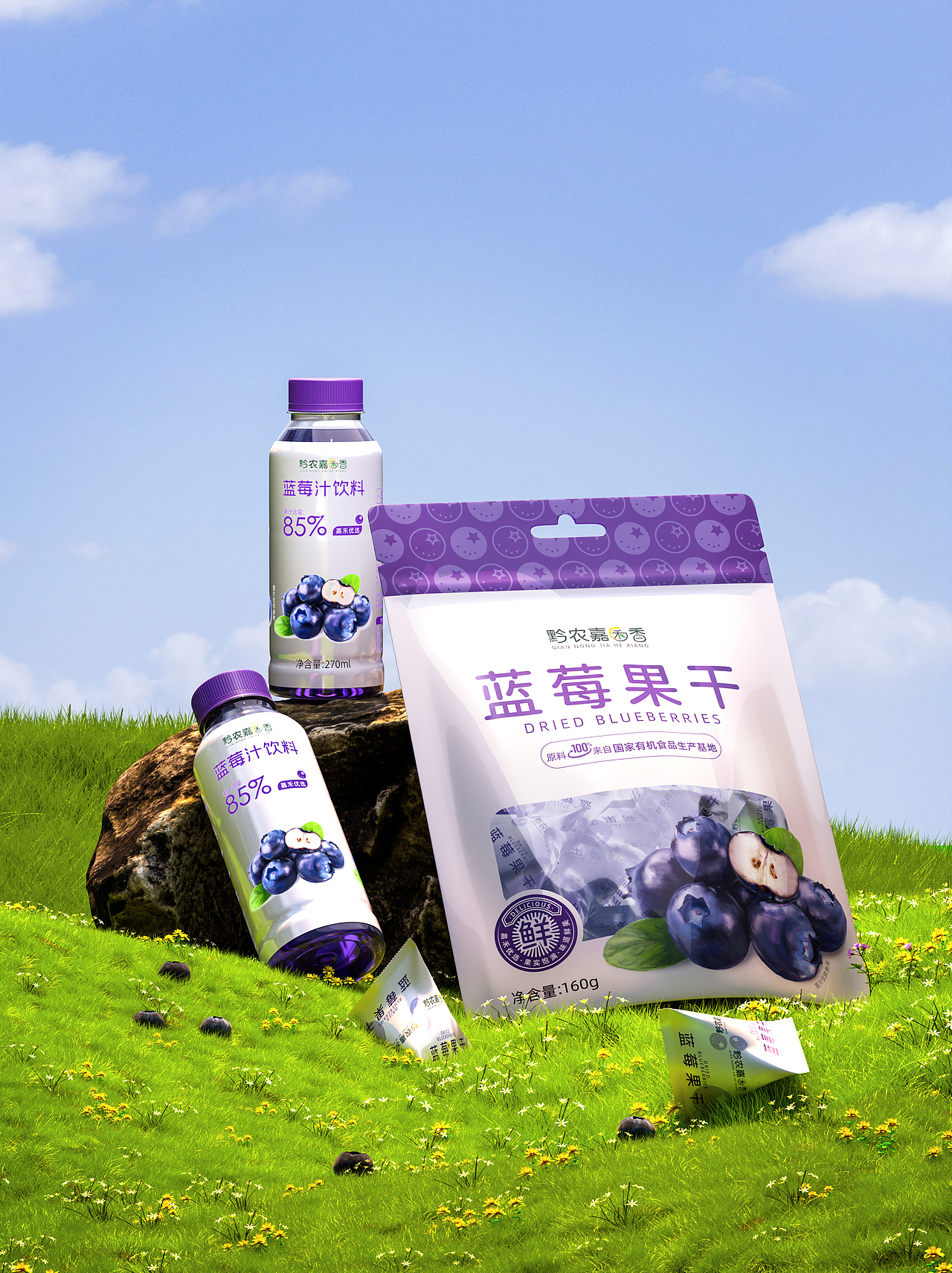 蓝莓饮料-蓝莓果干 包装设计