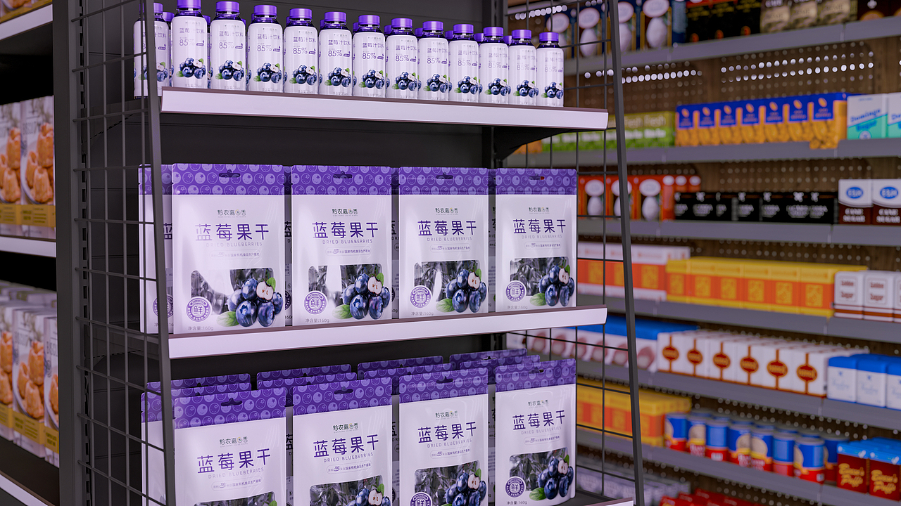 蓝莓饮料-蓝莓果干 包装设计