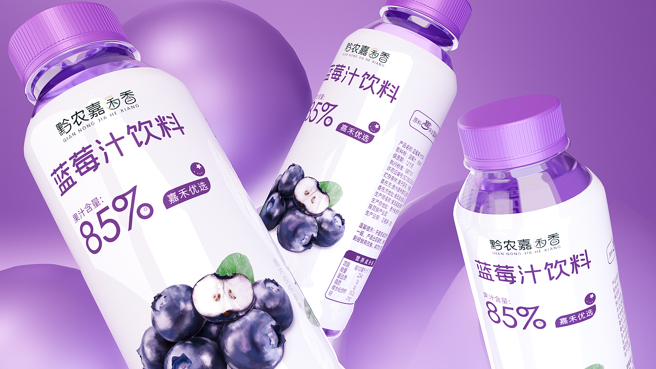蓝莓饮料-蓝莓果干 包装设计