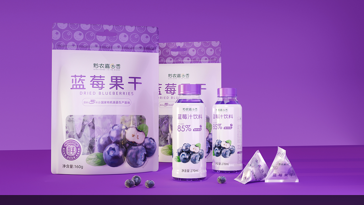蓝莓饮料-蓝莓果干 包装设计