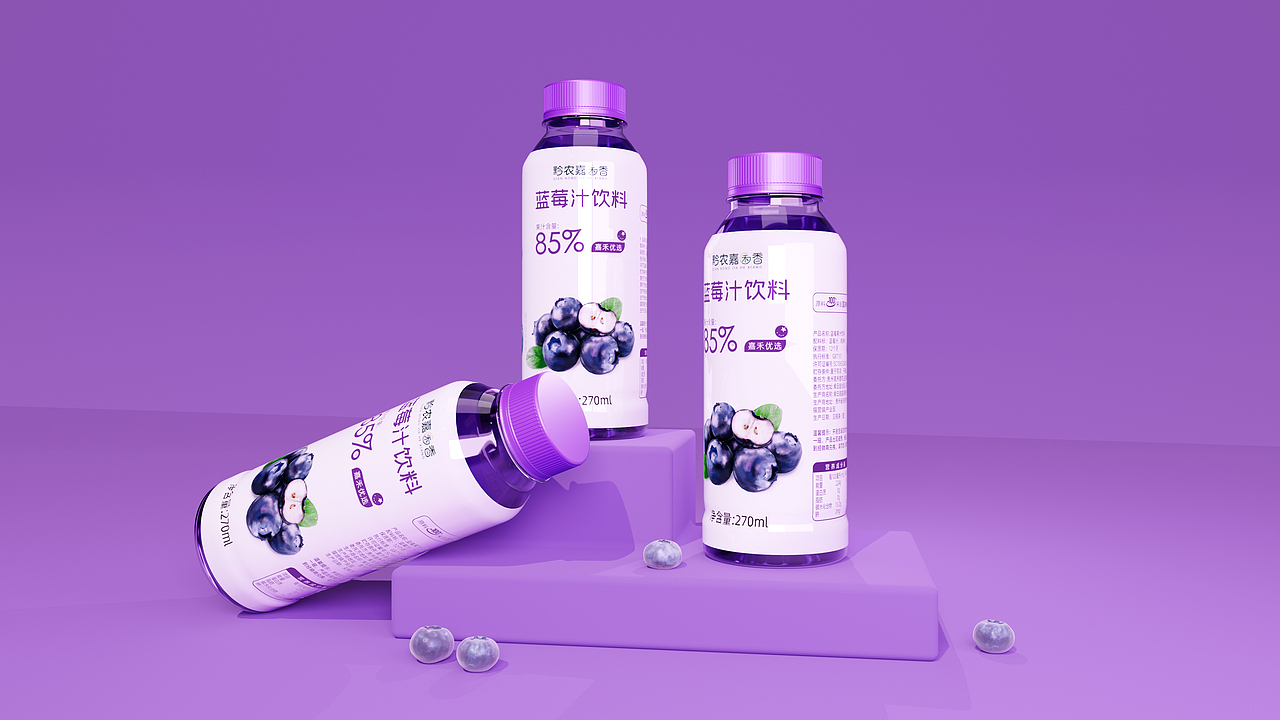 蓝莓饮料-蓝莓果干 包装设计