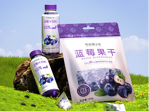 蓝莓饮料-蓝莓果干 包装设计