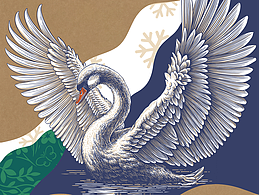 插画（第五批）