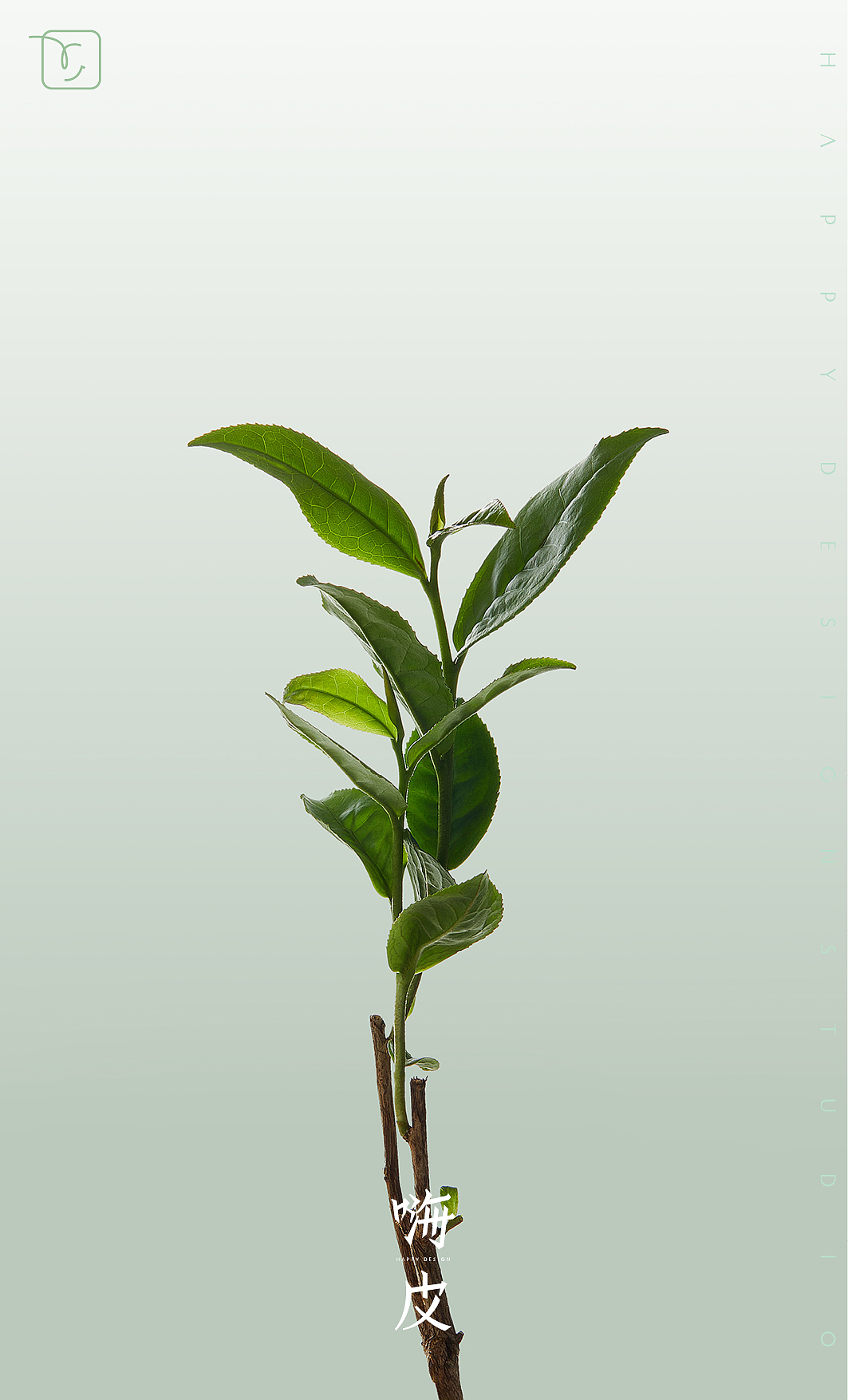 护肤品 ｜ 馥郁满铺