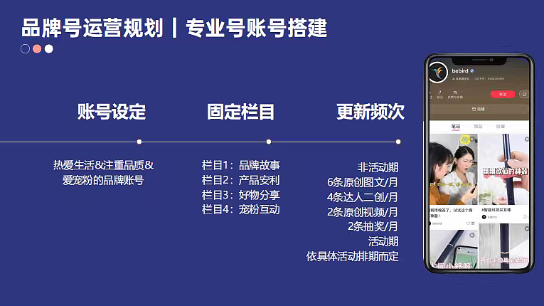 2025年bebird可视采耳仪小红书运营推广方案