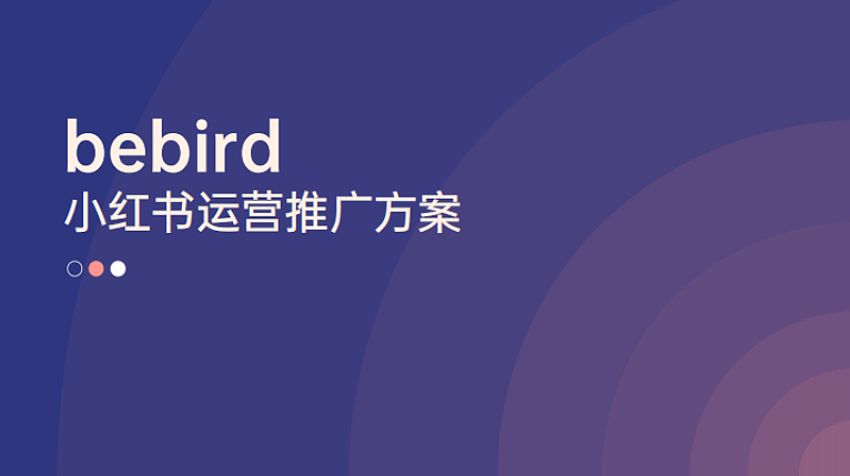 2025年bebird可视采耳仪小红书运营推广方案