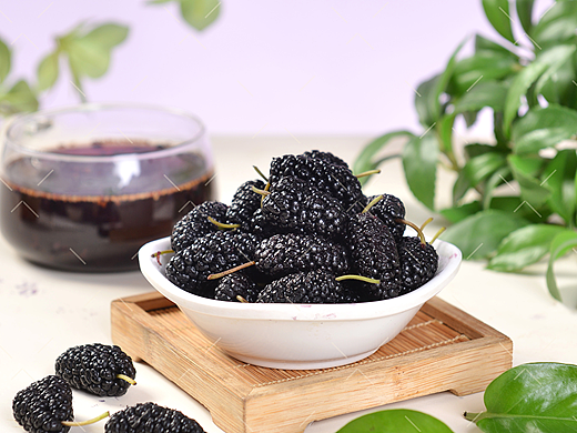 新鲜水果桑葚拍摄|电商产品美食摄影|×郑州密斯杨