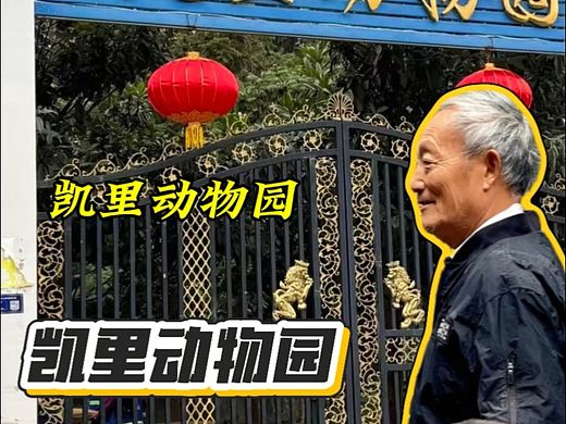 仿营销号风格视频