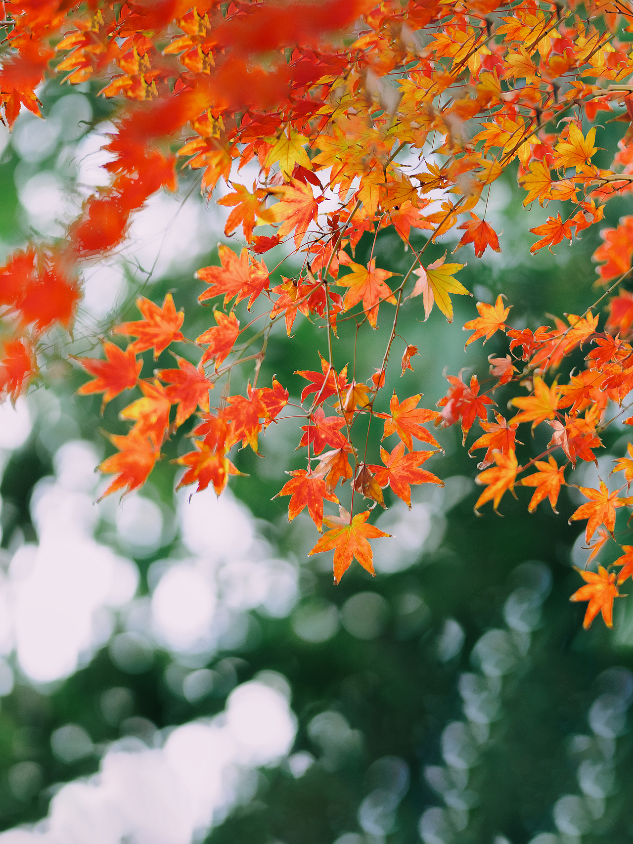 Olay的写真（图ZMzk4OTAwMTI4） - 产品摄影 - 站酷设计师光子iiii原创素材 - 站酷ZCOOL