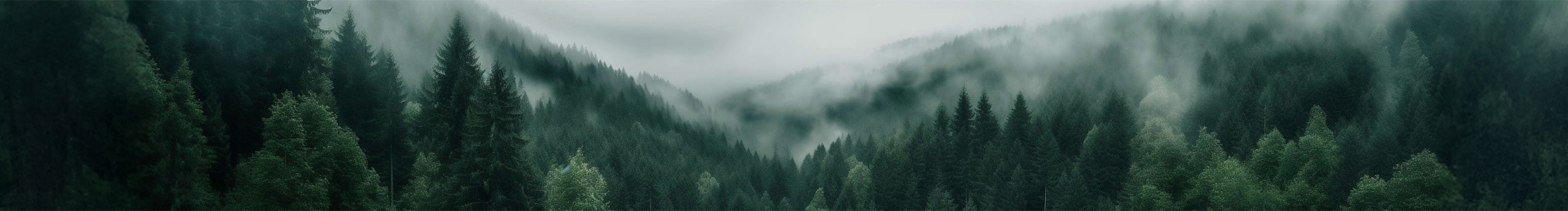 林中氧氣的個(gè)人主頁(yè)（封面預(yù)覽） - 主頁(yè)封面設(shè)置 - 站酷設(shè)計(jì)師林中氧氣原創(chuàng)素材 - 站酷ZCOOL