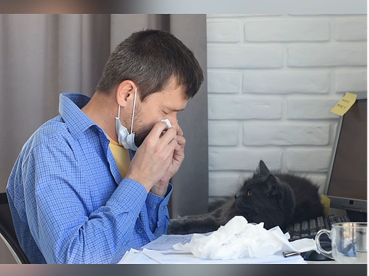 医疗器械类信息流视频