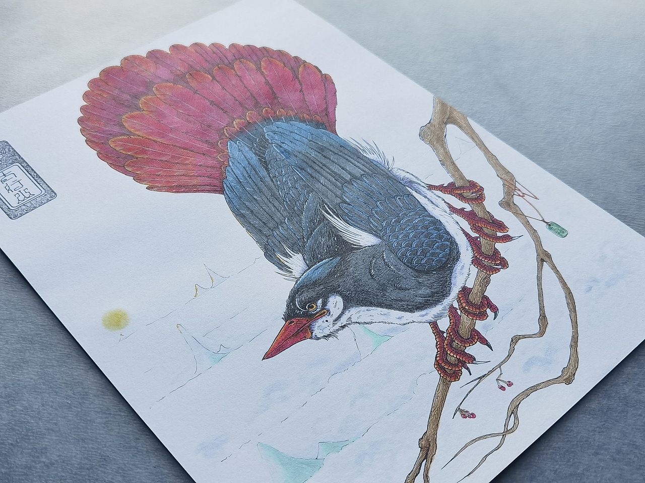 2025.11.13毣柞山海-北山经-太行山-贲鸟