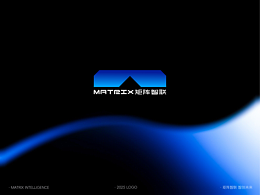 科技行业品牌全案设计LOGO设计