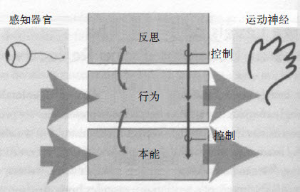 《设计心理学》读书分享丨以用户为中心的设计哲学