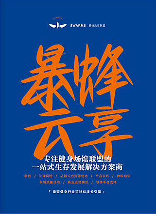 画册 暴风云享 健身行业升级 行业方案 数据图形设计