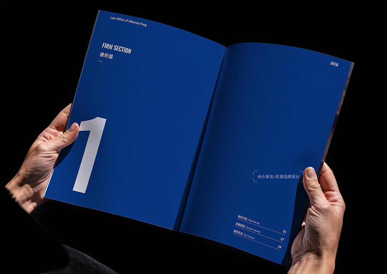 美国律所画册设计 企业宣传册 | Brochure Design（图ZMzk4OTY0ODY4） - 书籍/画册 - 站酷设计师小東北_画册设计原创素材 - 站酷ZCOOL