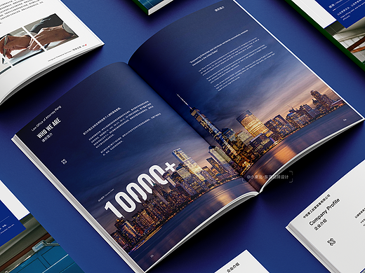 美国律所画册设计 企业宣传册 | Brochure Design