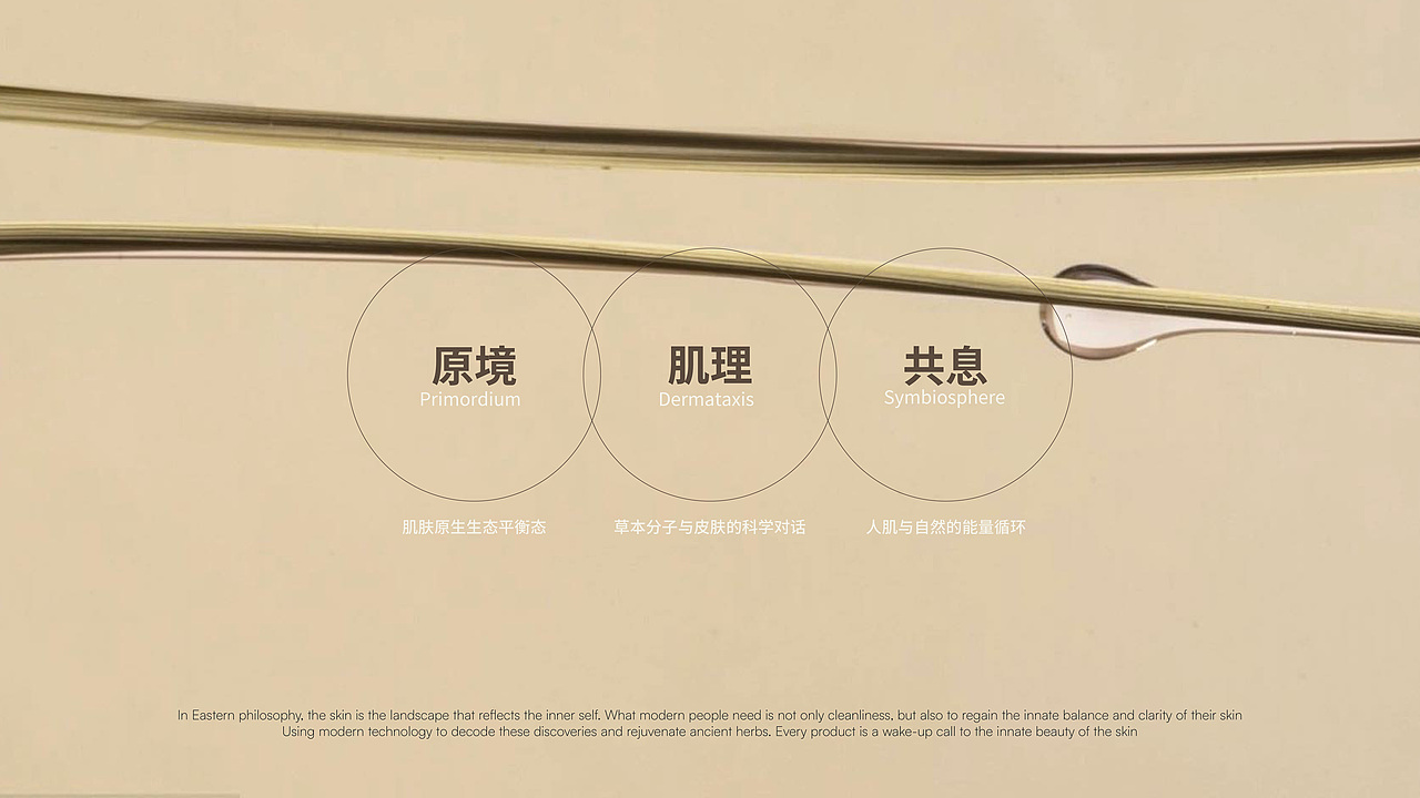 琋境SHEENREALM洗护品牌全案设计 ● LOGO/包装（图ZMzk4OTY5Njk2） - 品牌 - 站酷设计师JJGo原创素材 - 站酷ZCOOL