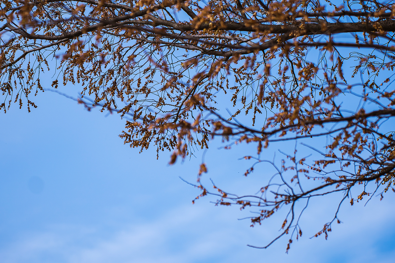 秋天山上好风光
