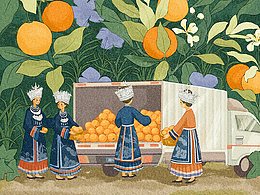 麻阳冰糖橙插画