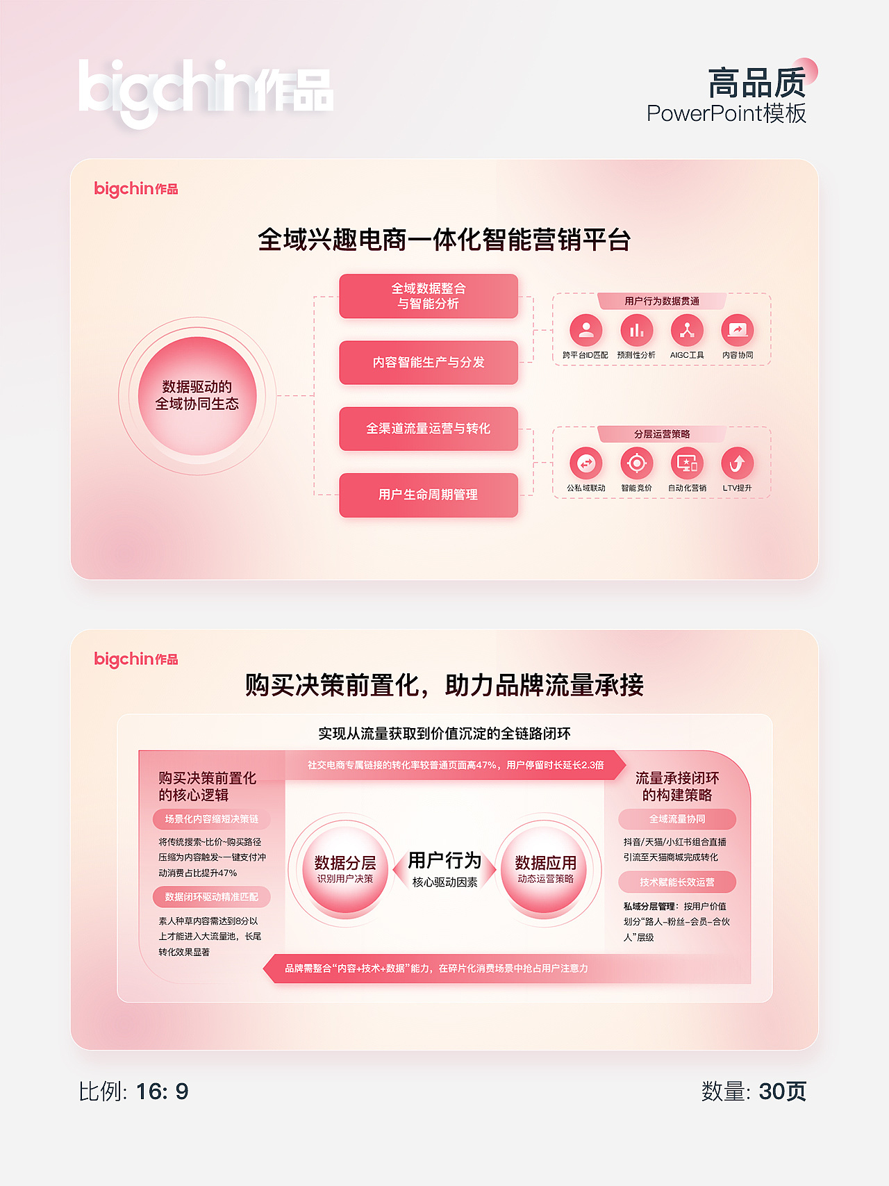 商业计划通案PPT模板