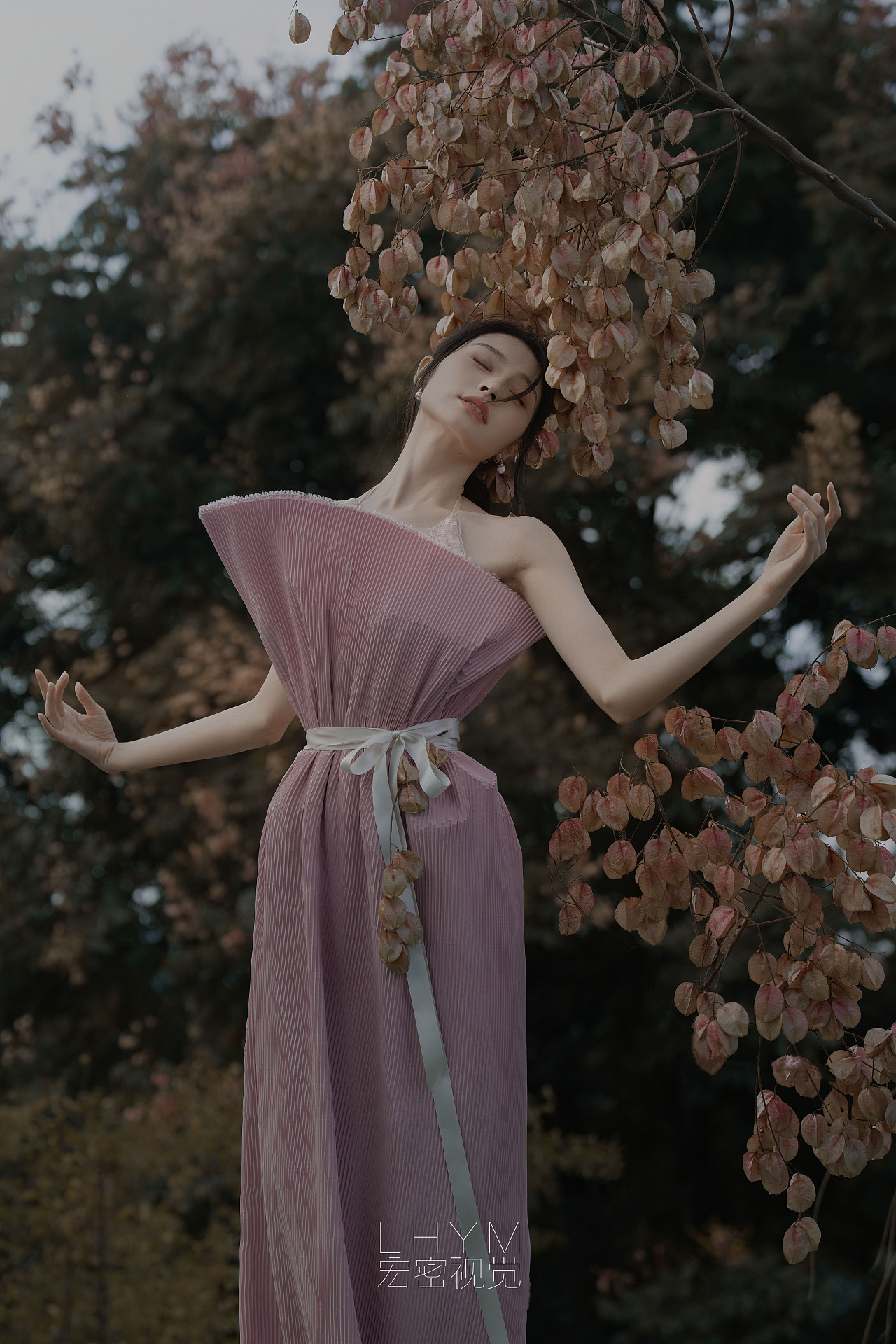 解锁栾树秋日质感影像!