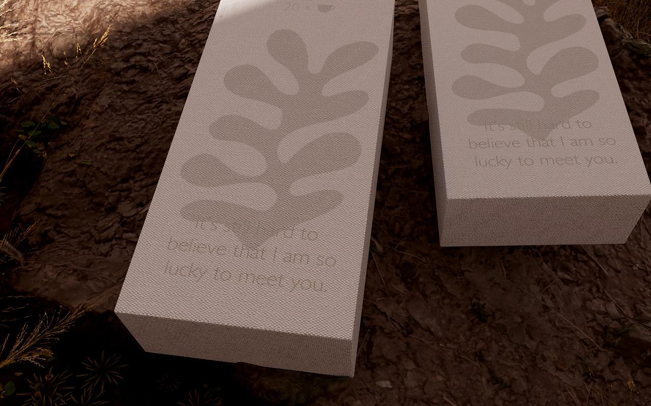 茶&Fergus｜在光影之间，邂逅一个复杂的梵高