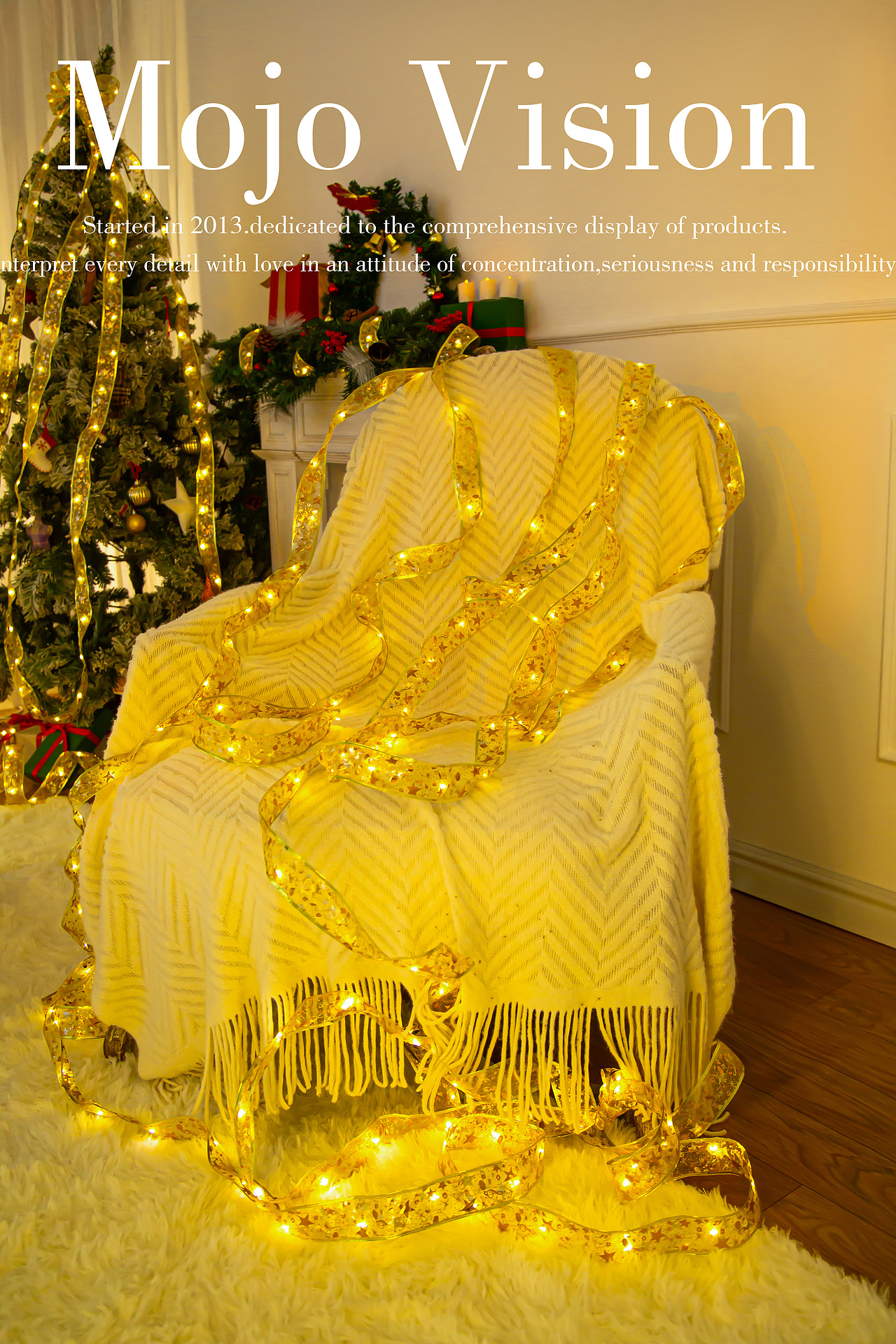 产品摄影 圣诞灯带