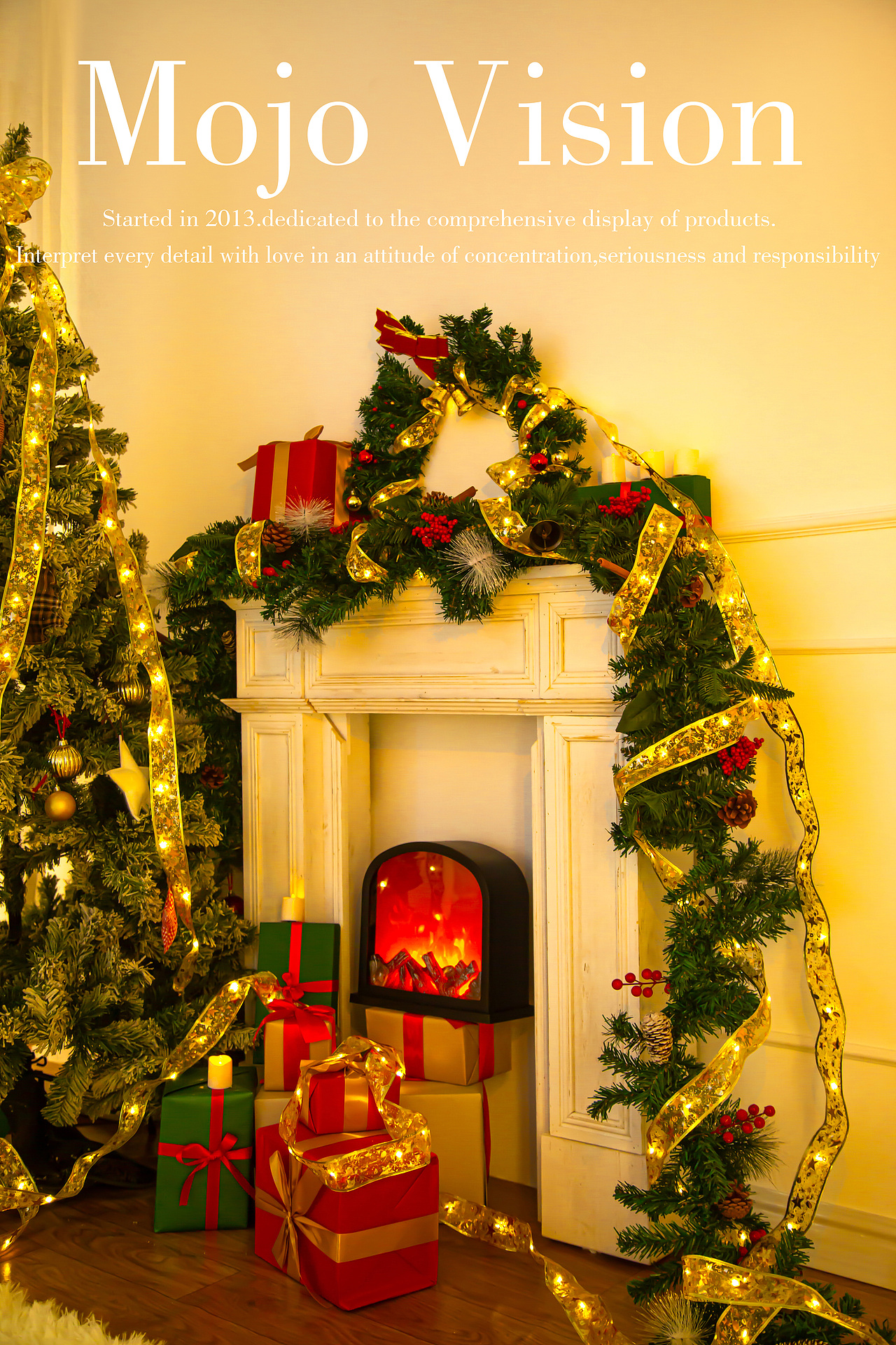 产品摄影 圣诞灯带