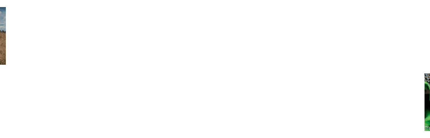Dutch Boy Cleaners 品牌重塑与网页设计(图ZMzk5MDI3MTIw) - 企业官网 - 站酷设计师JW_喜Design原创素材 - 站酷ZCOOL