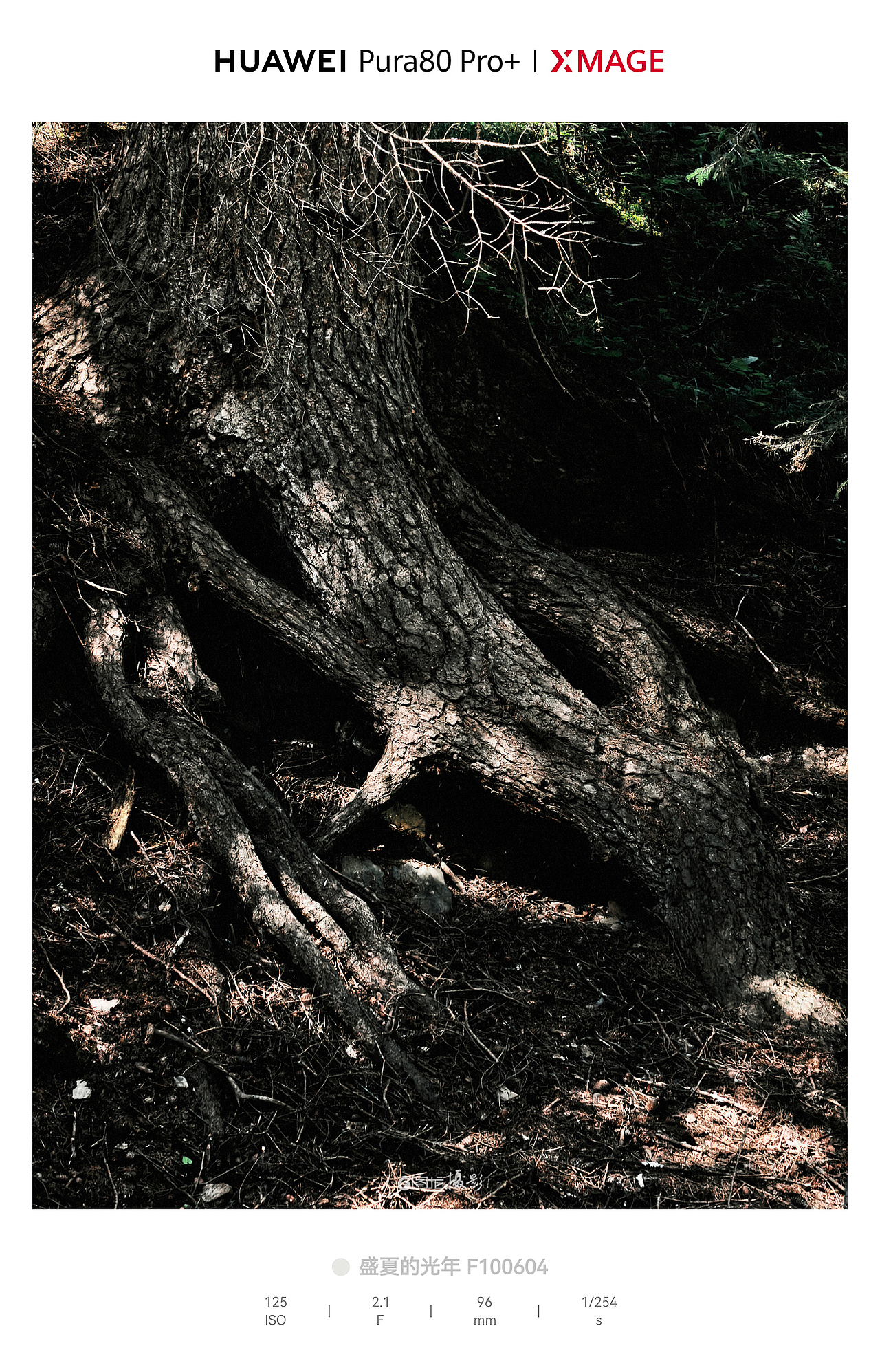 高原褶皱里的交响：云、根、屋的山野诗章