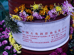 25年 成都 人民花园 菊花展