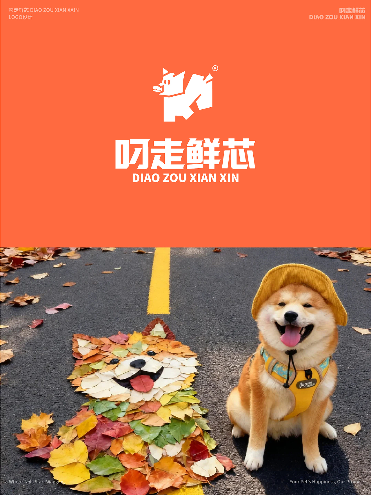 宠物品牌LOGO设计