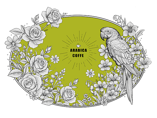 版画风包装插画鹦鹉花朵