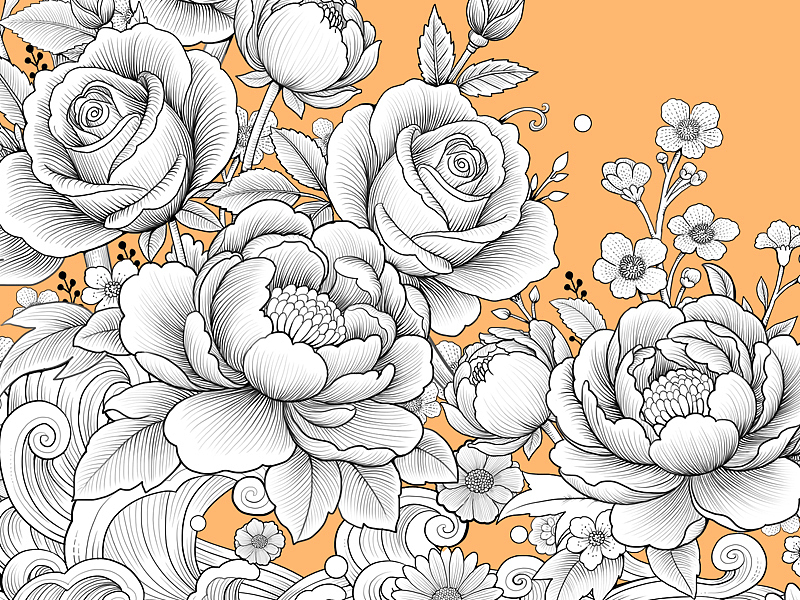 版画风包装插画礼盒插画 燕窝主题 可授权可定制