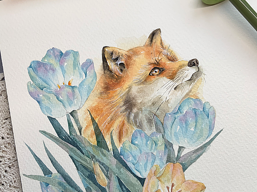 动物系列之狐狸与花