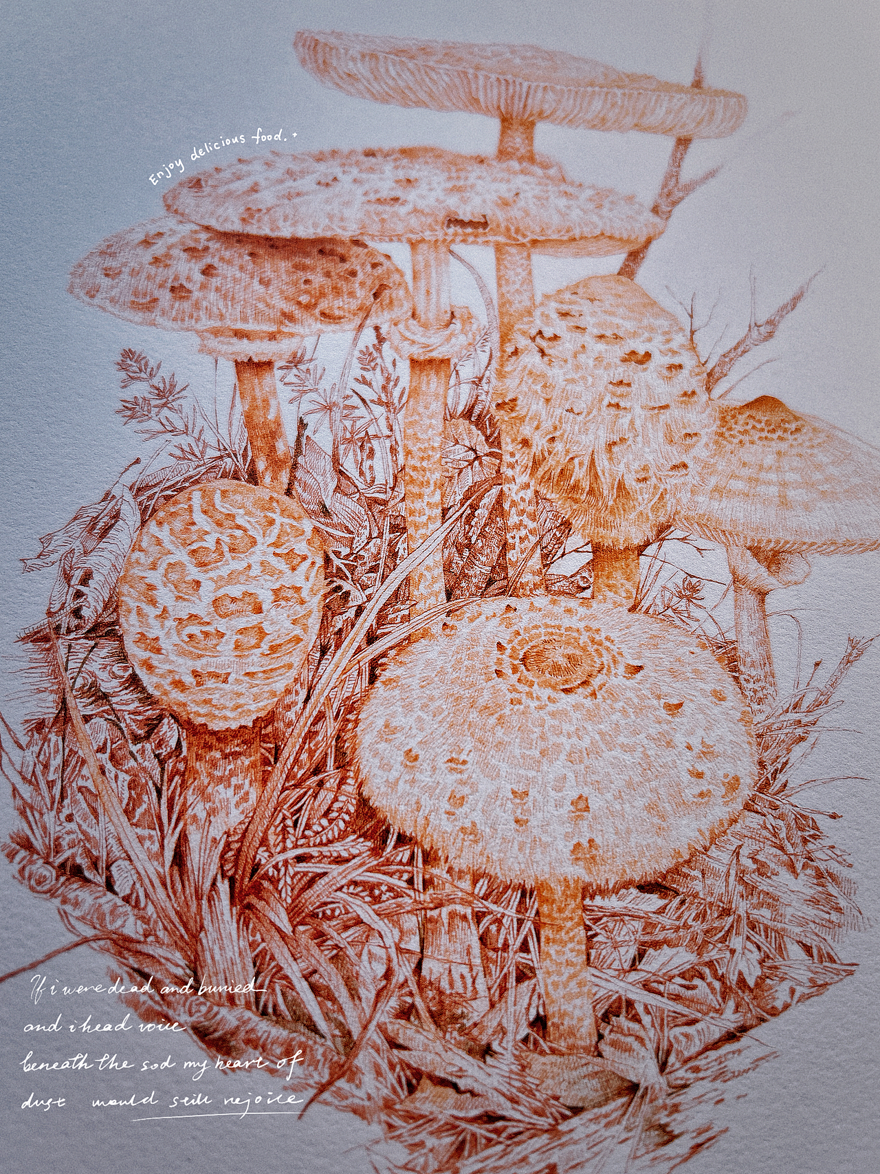 蘸水笔针管笔｜高大环柄菇（图ZMzk5MDUzOTQw） - 艺术插画 - 站酷设计师CatCastleDZ原创素材 - 站酷ZCOOL