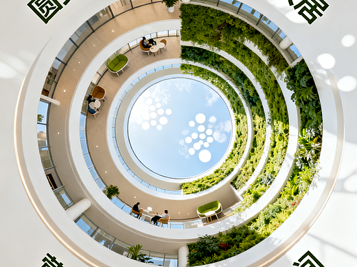 圆美大健康人居体系共创
