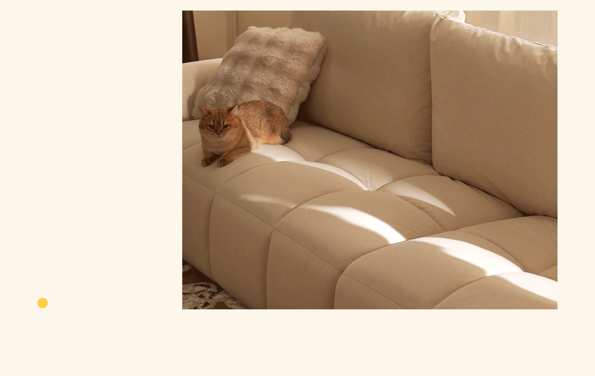 LINSY林氏 | 「布艺沙发」 超级单品视觉升级