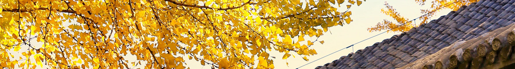 大耀愛美式的個人主頁（封面預(yù)覽） - 主頁封面設(shè)置 - 站酷設(shè)計師大耀愛美式原創(chuàng)素材 - 站酷ZCOOL