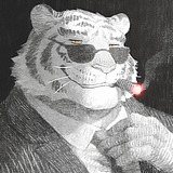 用户头像