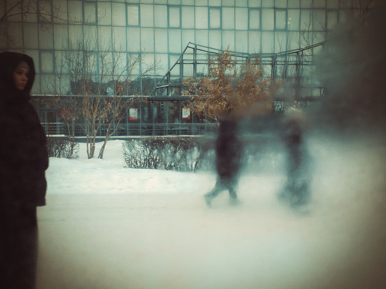 Through the frozen windowFrom the bus. Part 3