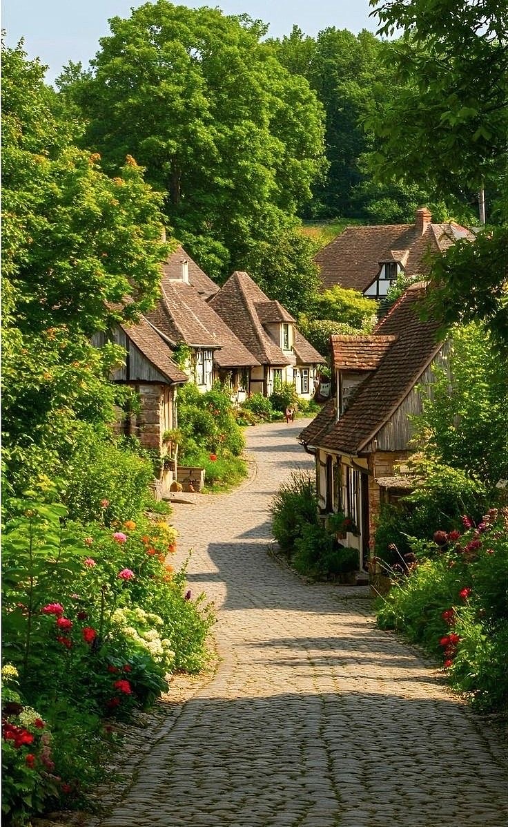 山野之间，放飞自我