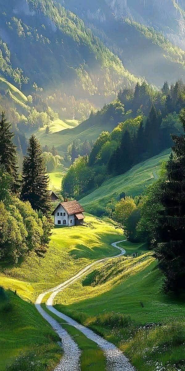 山野之间，放飞自我