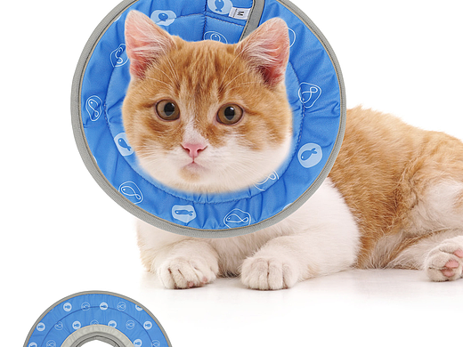 防水伊丽莎白圈