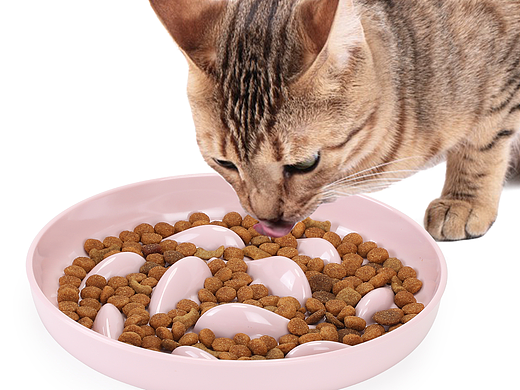 粉色猫慢食碗